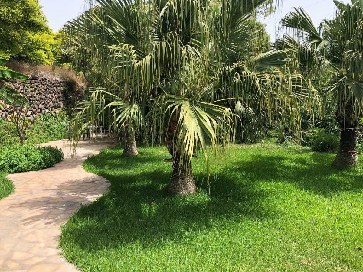 فيلا Tijarafe 1 المظهر الخارجي الصورة